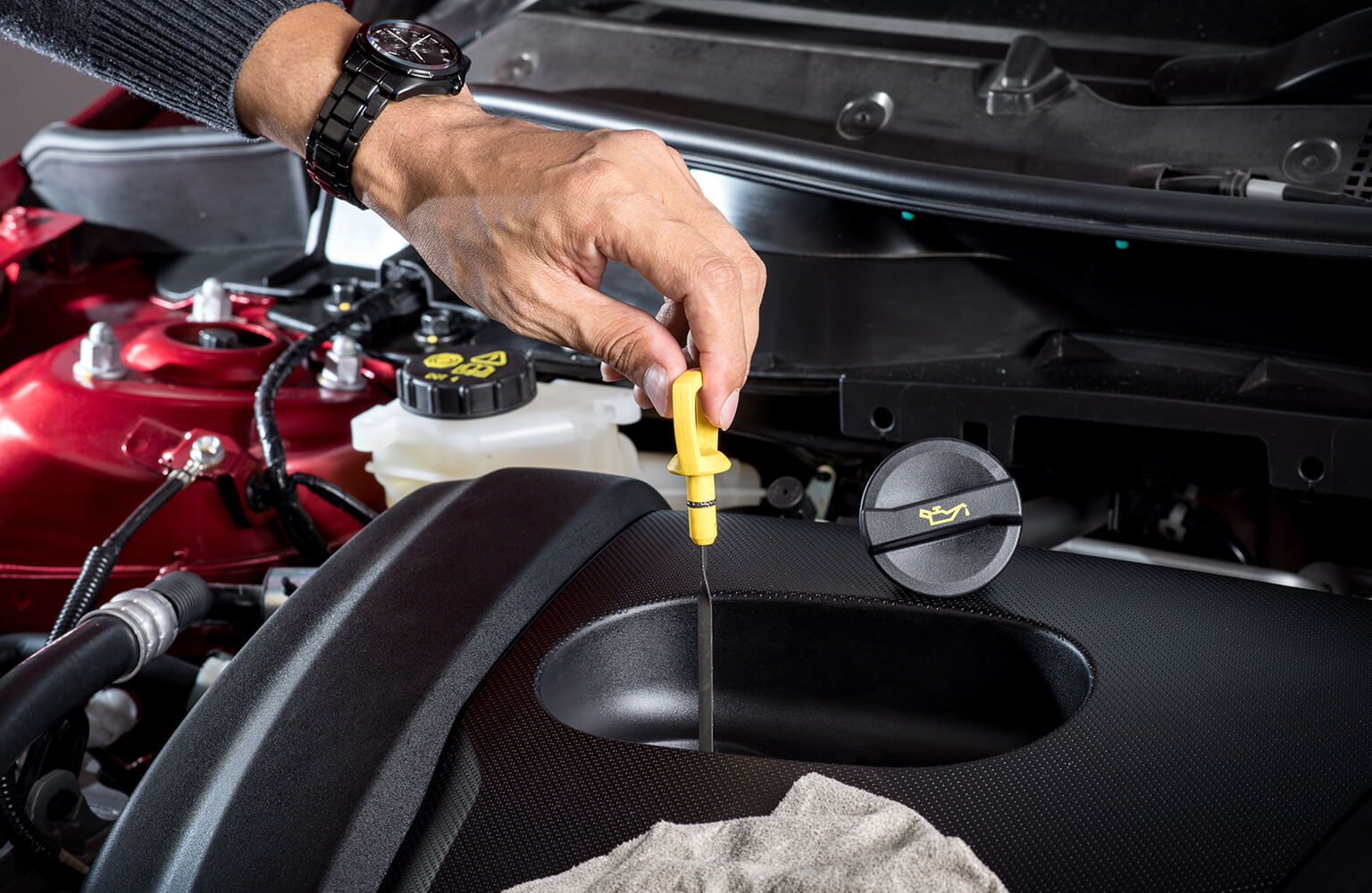 CANONICO TRASLOCHI & TRASPORTI